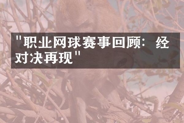 "职业网球赛事回顾：经典对决再现"