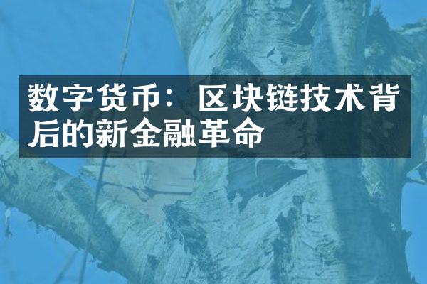 数字货币：区块链技术背后的新金融