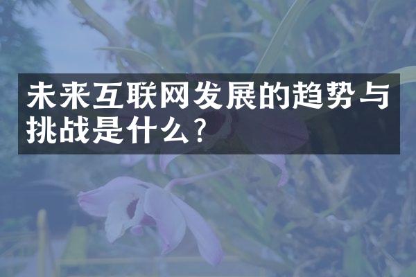 未来互联网发展的趋势与挑战是什么？