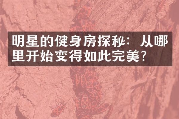 明星的健身房探秘：从哪里开始变得如此完美？