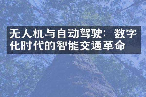 无人机与自动驾驶：数字化时代的智能交通革命