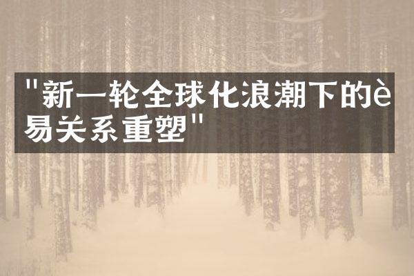 "新一轮全球化浪潮下的贸易关系重塑"