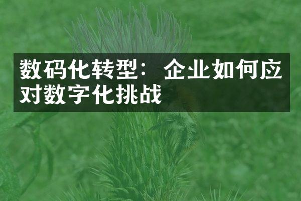 数码化转型：企业如何应对数字化挑战