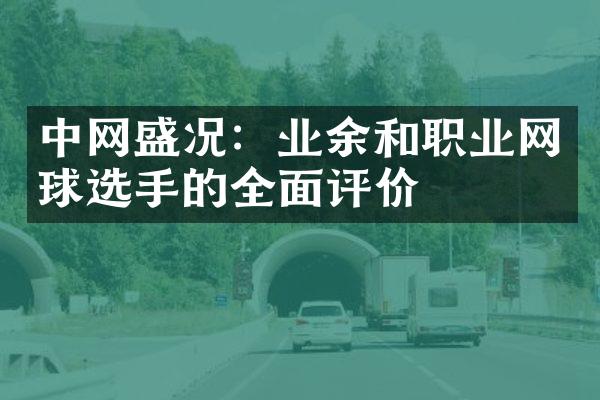 中网盛况：业余和职业网球选手的全面评价