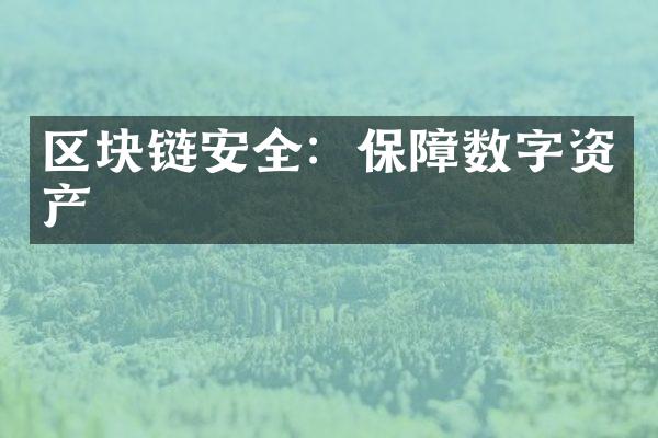 区块链安全：保障数字资产