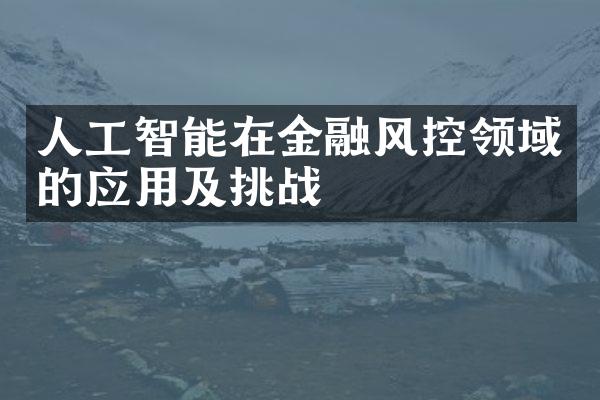 人工智能在金融风控领域的应用及挑战