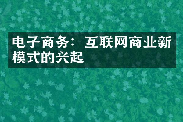 电子商务：互联网商业新模式的兴起