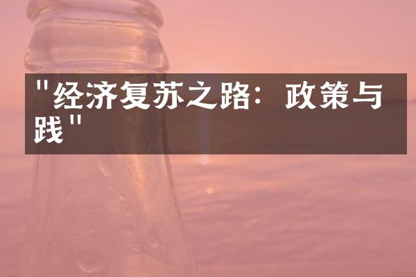 "经济复苏之路：政策与实践"