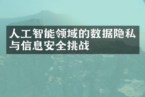 人工智能领域的数据隐私与信息安全挑战