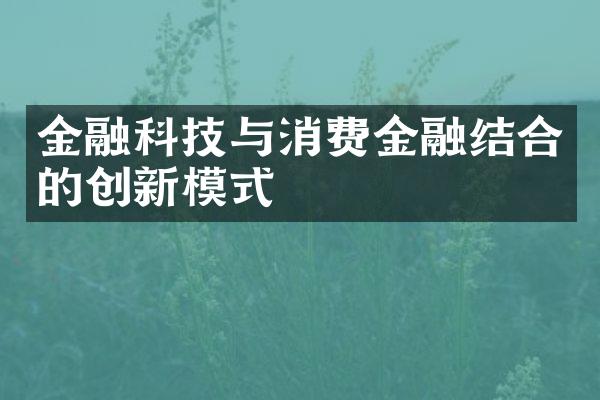 金融科技与消费金融结合的创新模式