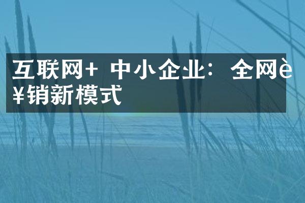 互联网+ 中小企业：全网营销新模式