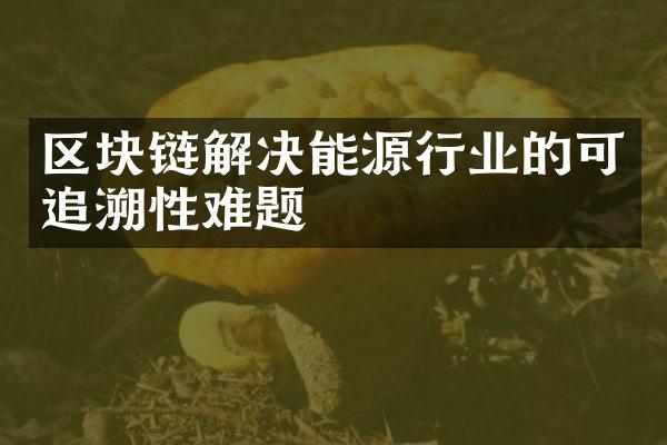 区块链解决能源行业的可追溯性难题