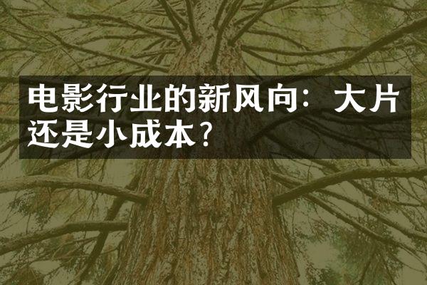 电影行业的新风向：片还是小成本？