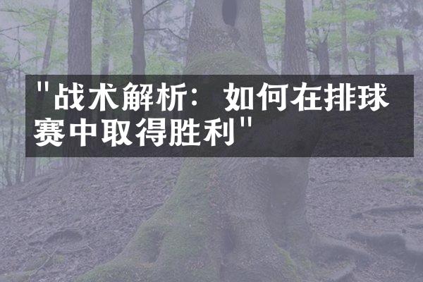 "战术解析：如何在排球比赛中取得胜利"