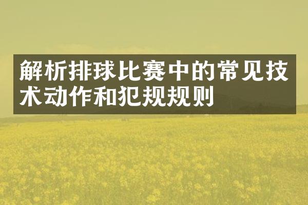 解析排球比赛中的常见技术动作和犯规规则