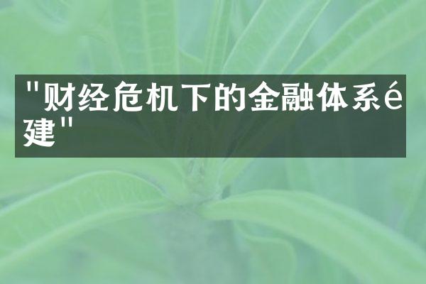 "财经危机下的金融体系重建"