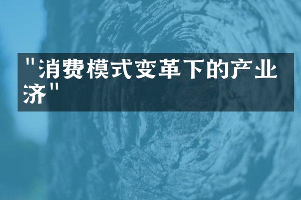 "消费模式变革下的产业经济"