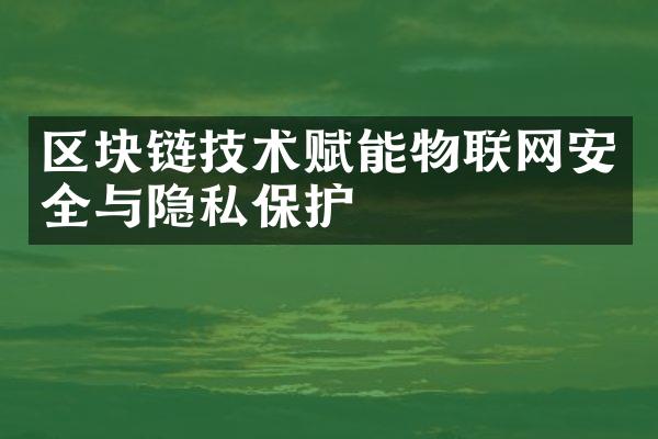 区块链技术赋能物联网安全与隐私保护