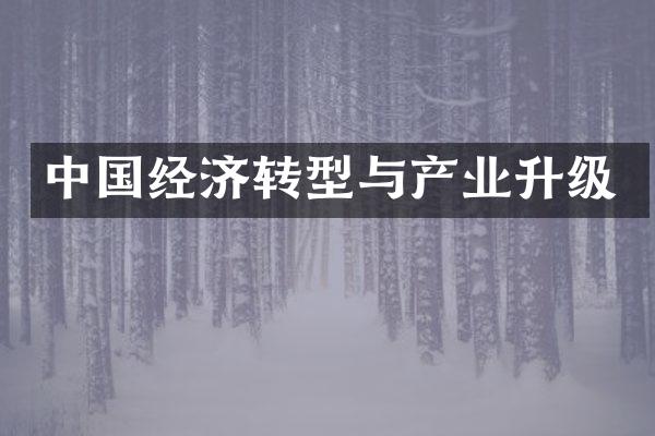 中国经济转型与产业升级