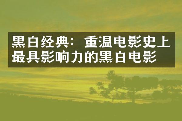 黑白经典：重温电影史上最具影响力的黑白电影