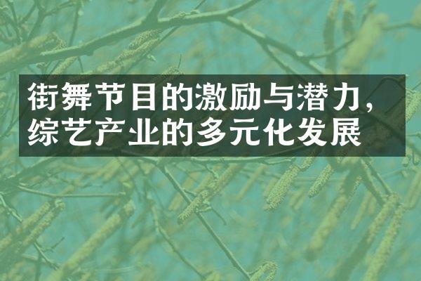 街舞节目的激励与潜力，综艺产业的多元化发展