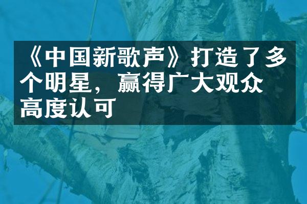 《中国新歌声》打造了多个明星，赢得广大观众的高度认可