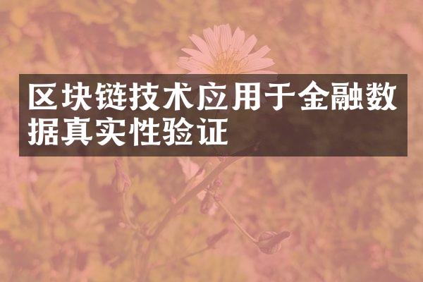 区块链技术应用于金融数据真实性验证