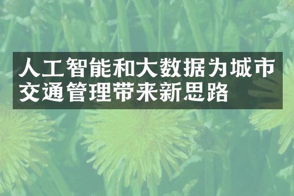 人工智能和大数据为城市交通管理带来新思路