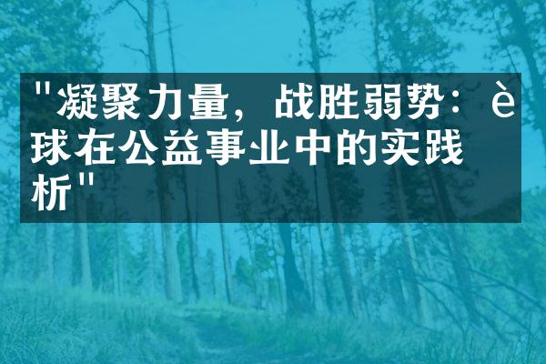 "凝聚力量，战胜弱势：足球在公益事业中的实践探析"