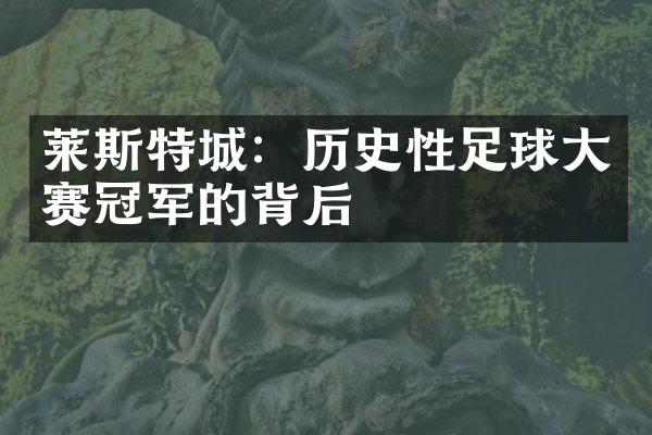 莱斯特城：历史性足球赛冠军的背后