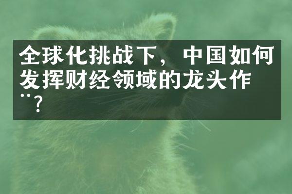 全球化挑战下，中国如何发挥财经领域的龙头作用？