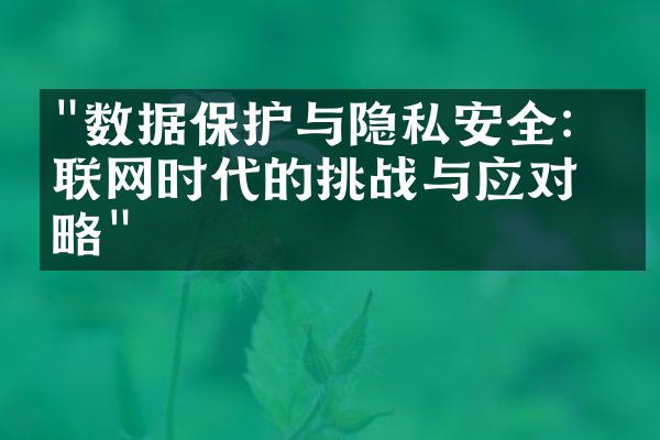 "数据保护与隐私安全：互联网时代的挑战与应对策略"