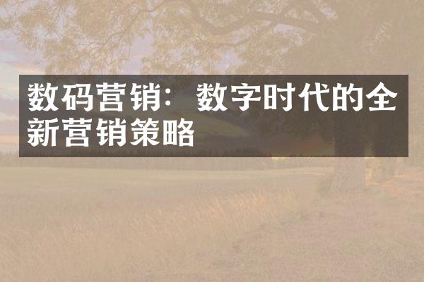 数码营销：数字时代的全新营销策略