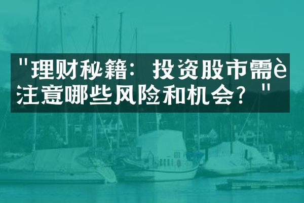 "理财秘籍：投资股市需要注意哪些风险和机会？"