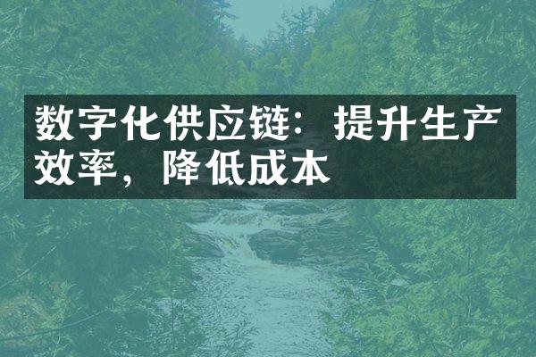 数字化供应链：提升生产效率，降低成本