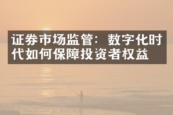 证券市场监管：数字化时代如何保障投资者权益