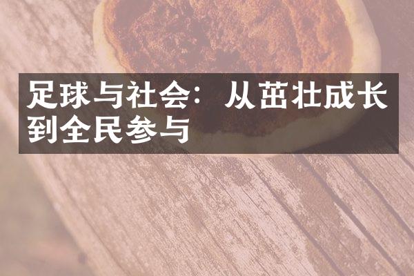 足球与社会：从茁壮成长到全民参与