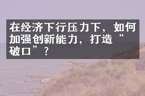 在经济下行压力下，如何加强创新能力，打造“突破口”？