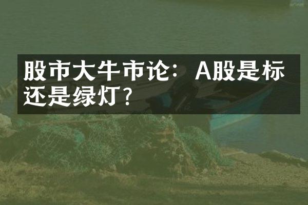 股市大牛市论：A股是标杆还是绿灯？