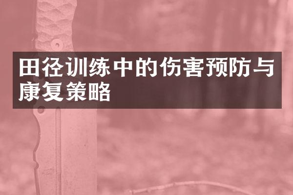 田径训练中的伤害预防与康复策略