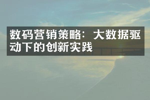 数码营销策略：大数据驱动下的创新实践