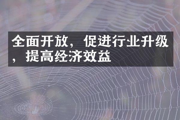 全面开放，促进行业升级，提高经济效益