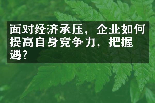 面对经济承压，企业如何提高自身竞争力，把握机遇？