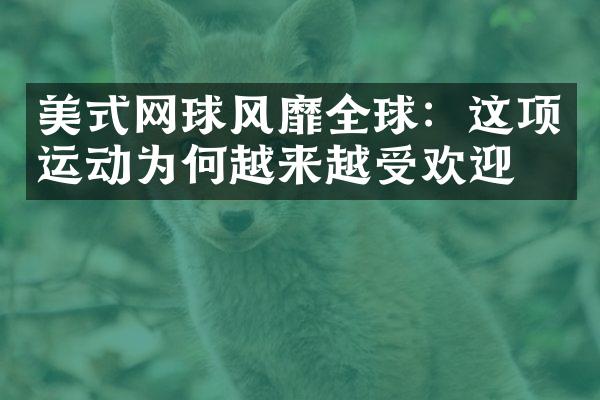 美式网球风靡全球：这项运动为何越来越受欢迎？