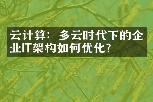 云计算：多云时代下的企业IT架构如何优化？