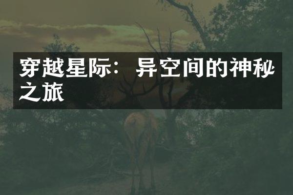 穿越星际：异空间的神秘之旅