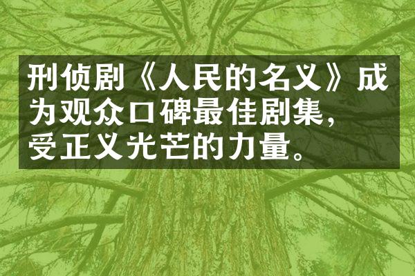 刑侦剧《的名义》成为观众口碑最佳剧集，感受正义光芒的力量。