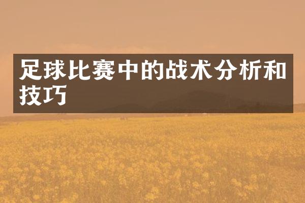 足球比赛中的战术分析和技巧