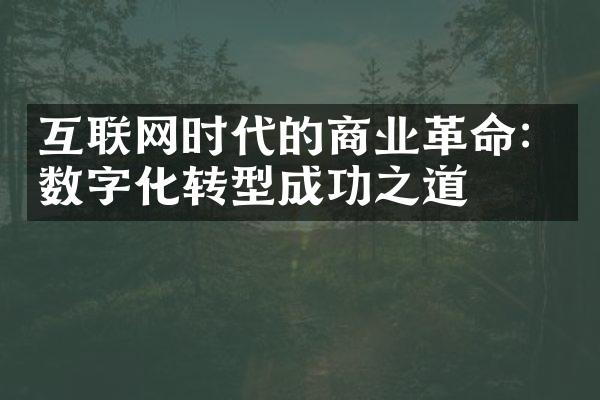 互联网时代的商业革命：数字化转型成功之道