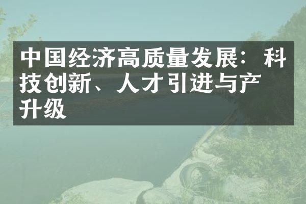 中国经济高质量发展：科技创新、人才引进与产业升级